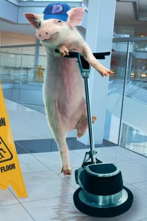 Qualifizierte Putzfachkraft