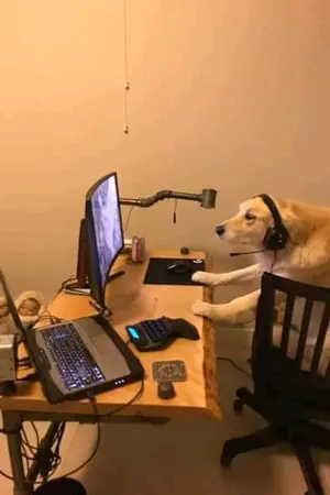 Spieletester