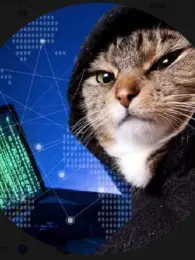 Hacker