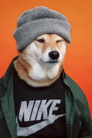 Influencer*in