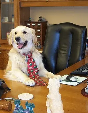 Interim-Manager