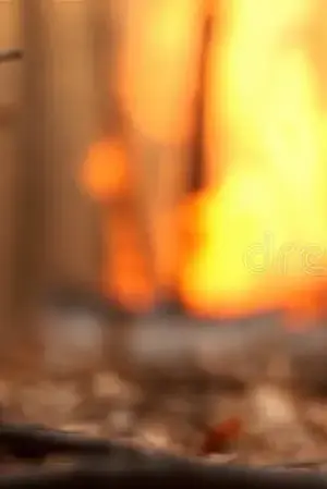 Brandstifter