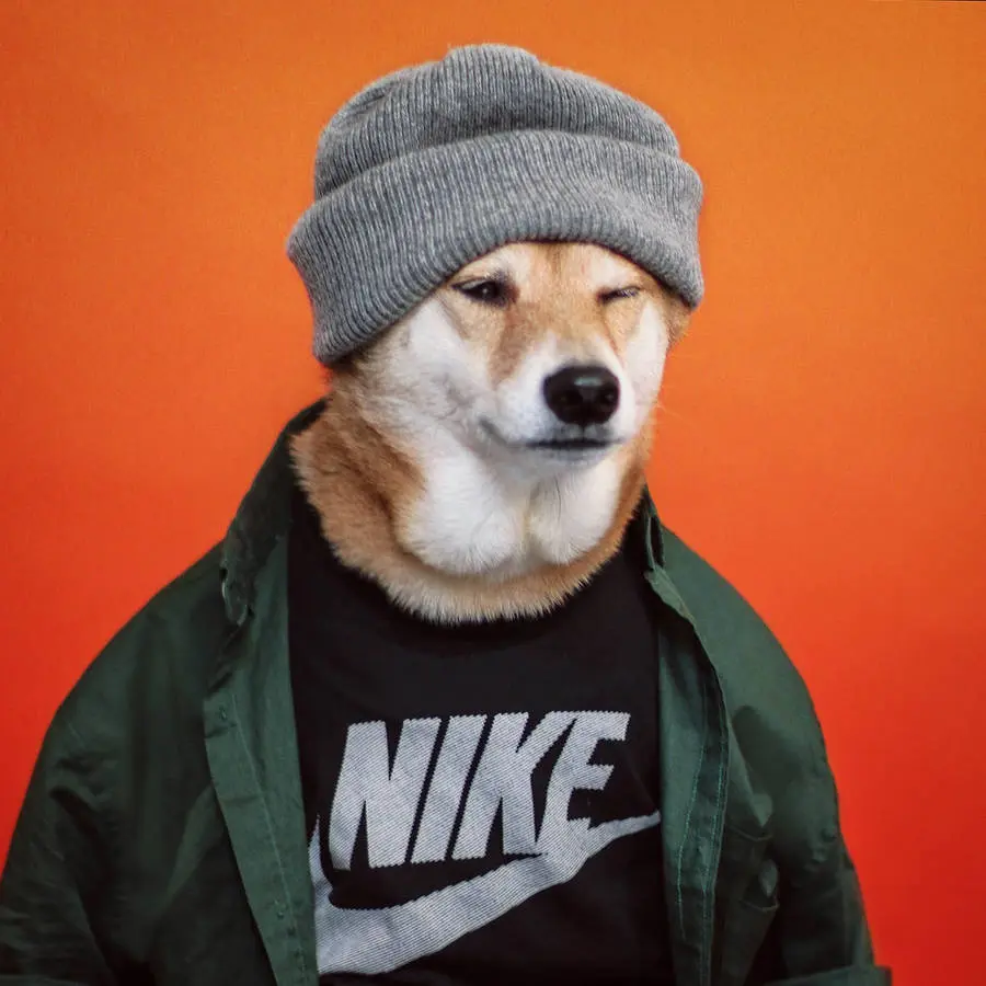 Influencer*in