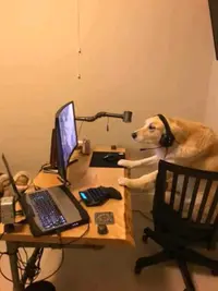 Spieletester