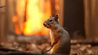 Brandstifter